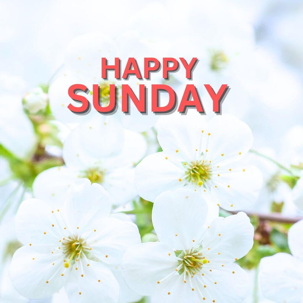 Blessed Sunday Wallpaper Pic New Download