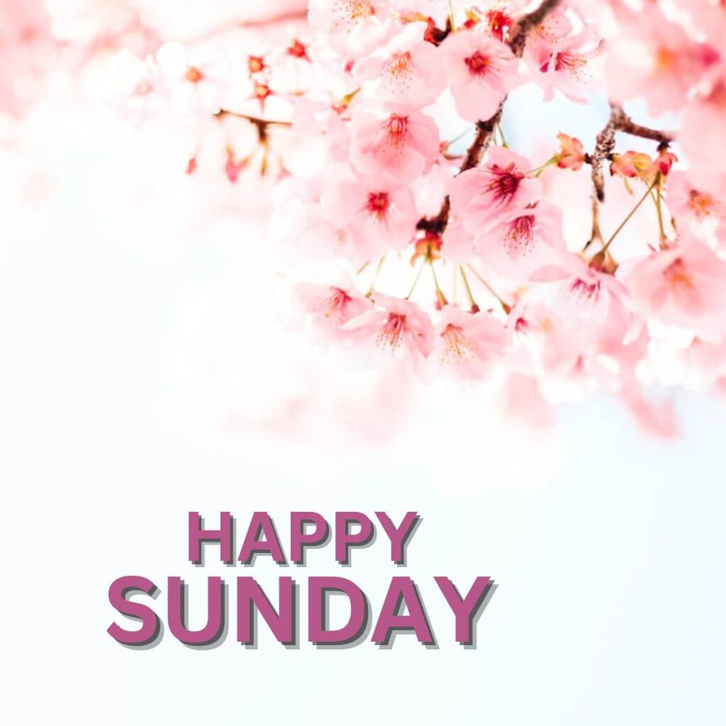 Blessed Sunday Wallpaper Pics Nee Download
