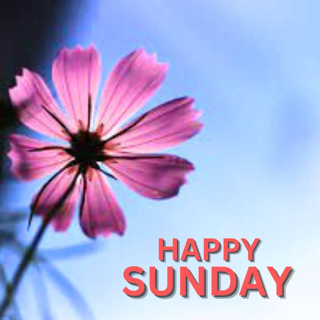 Blessed Sunday Wallpaper Pics New Download (2)