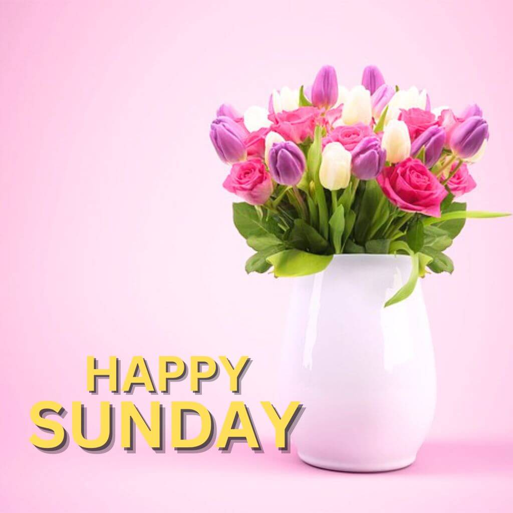 Blessed Sunday Wallpaper Pics for Facebook Whatsapp