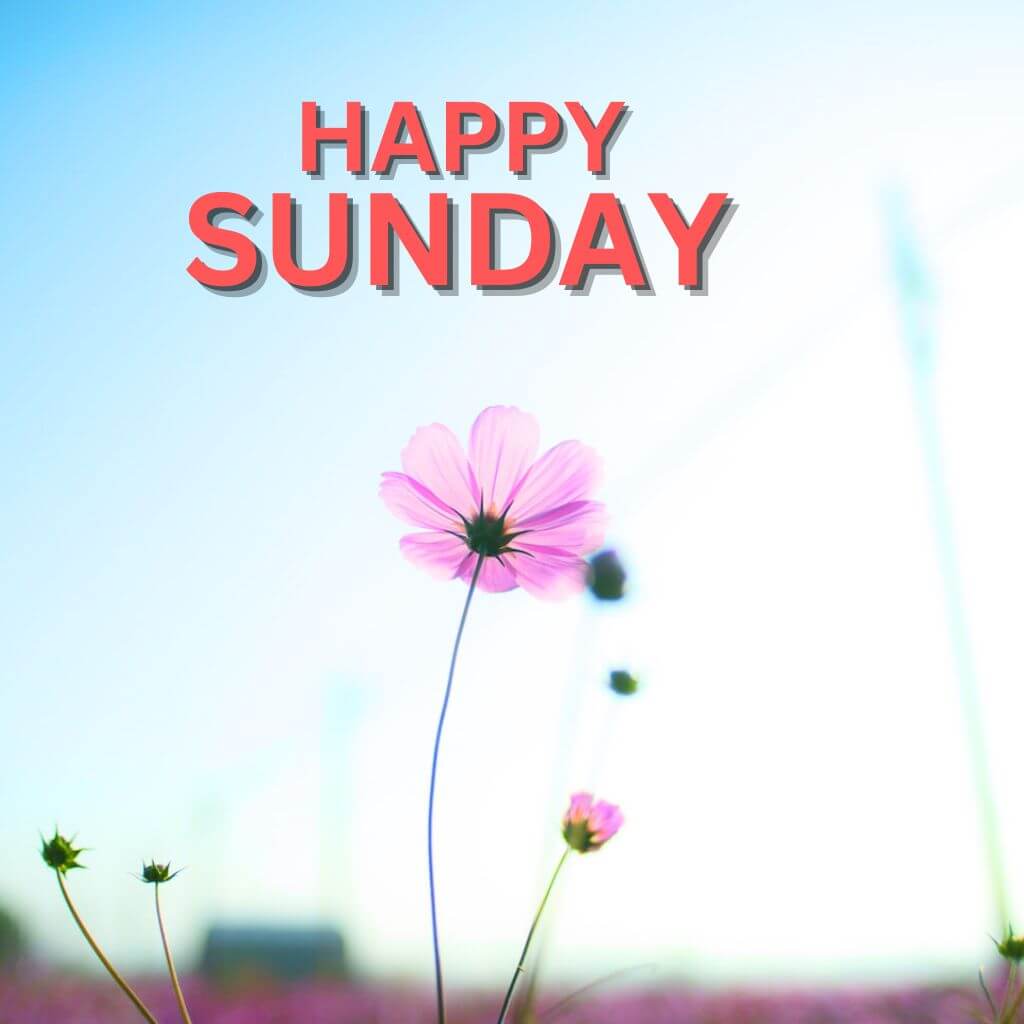 Blessed Sunday Wallpaper pic New Download 2023