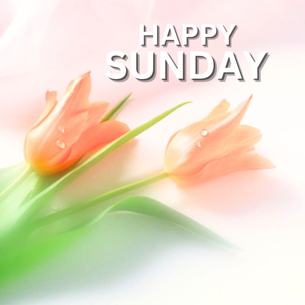 Blessed Sunday Wallpaper pics Download
