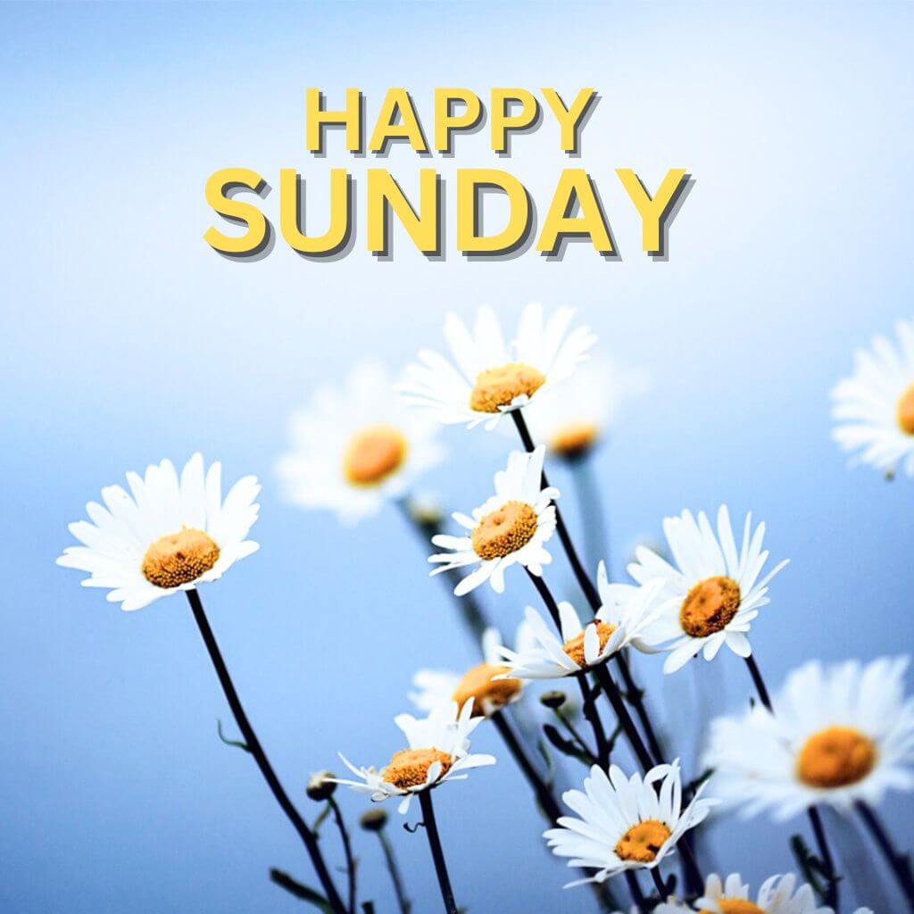 Blessed Sunday Wallpaper pics Free