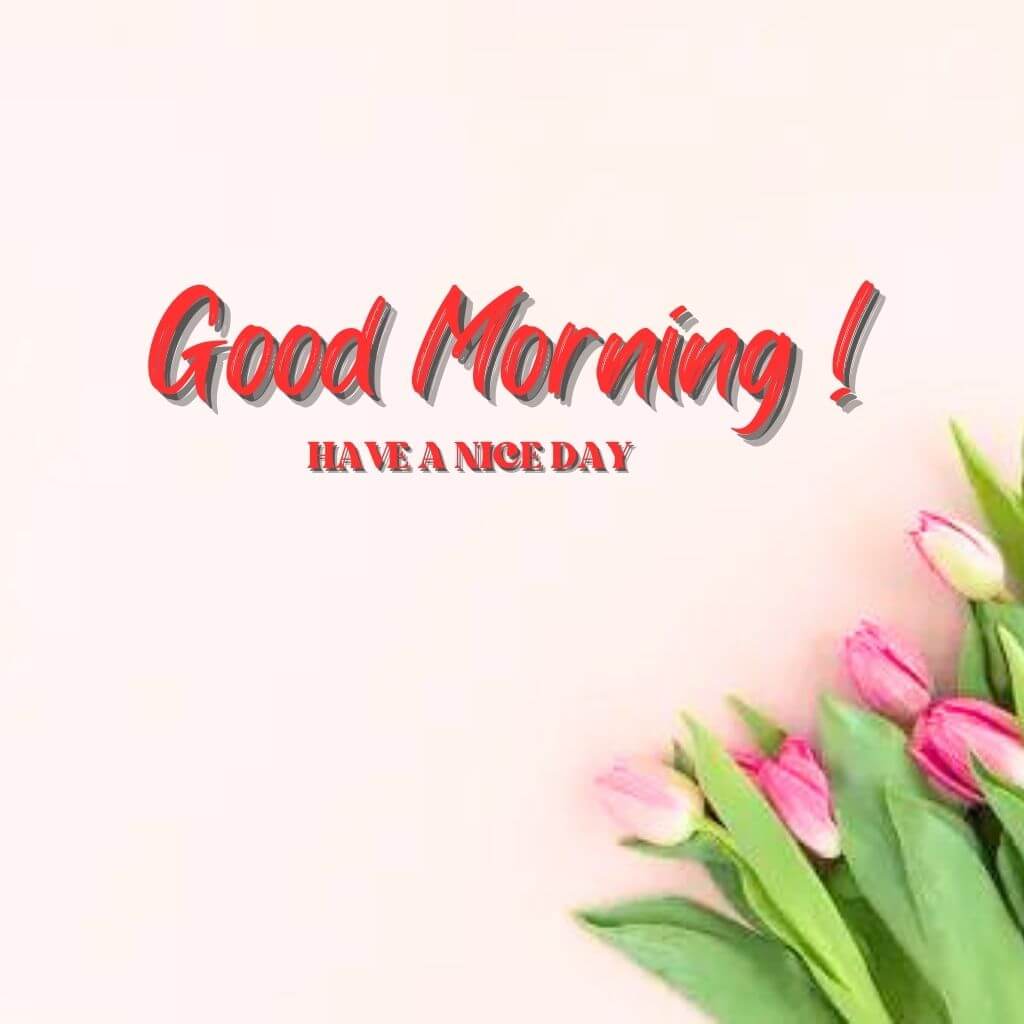 Download hd good morning Wallpaper Pics New Download With Flower 