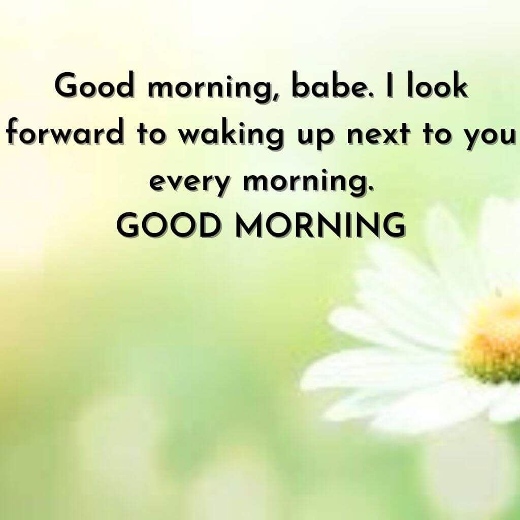 English Quotes Good Morning Wallpaper Photo Download