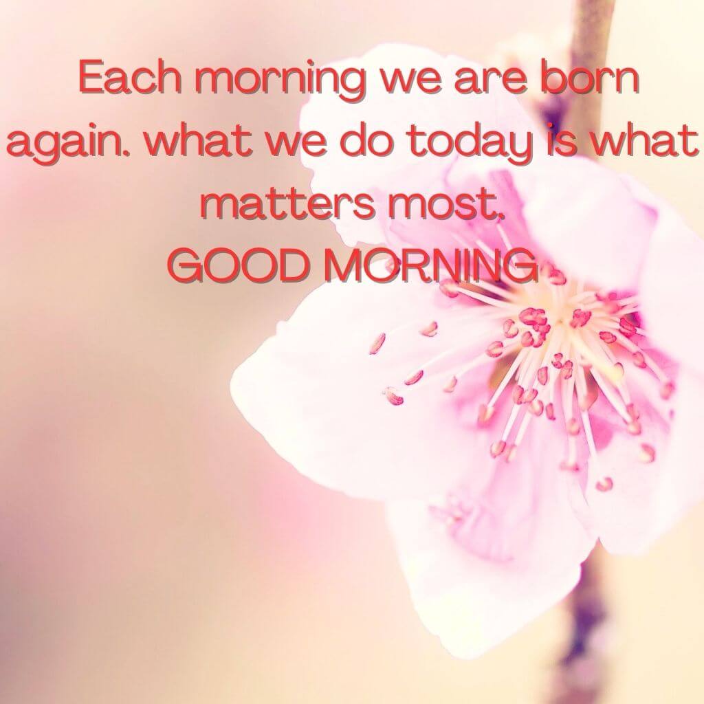 English Quotes Good Morning Wallpaper Pic for Facebook