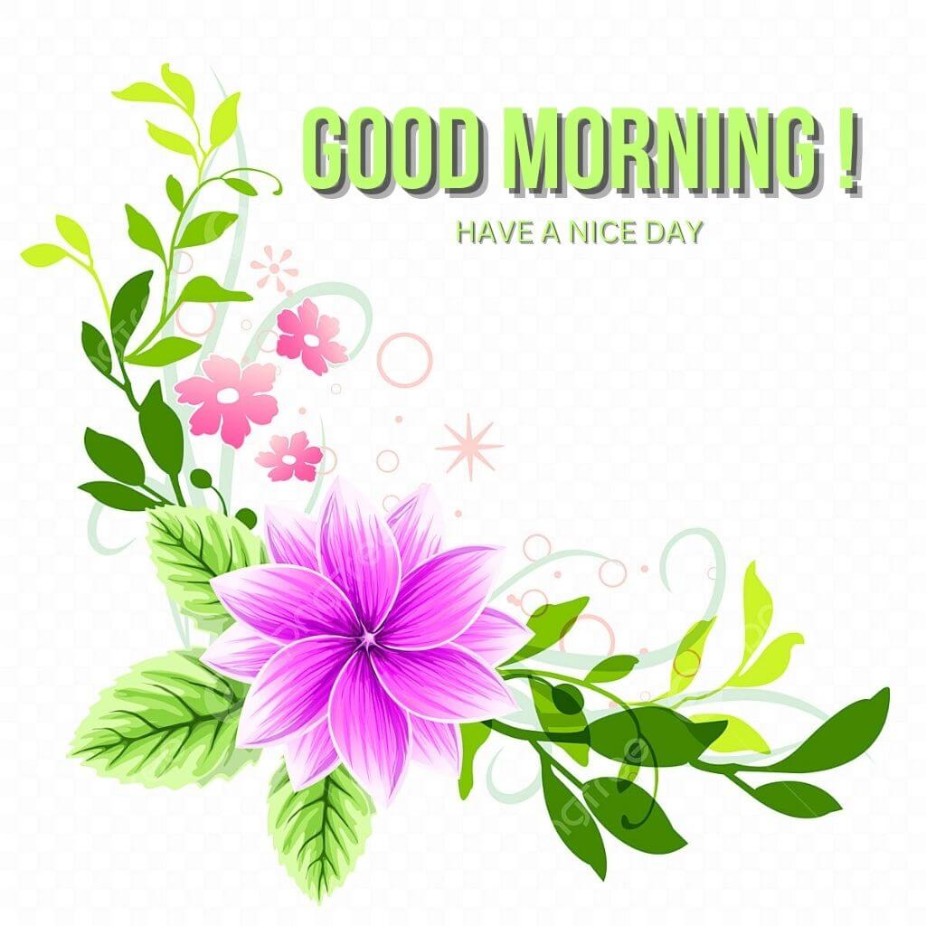 Flower HD good morning Wallpaper Images Pictures With Have a Nice Day