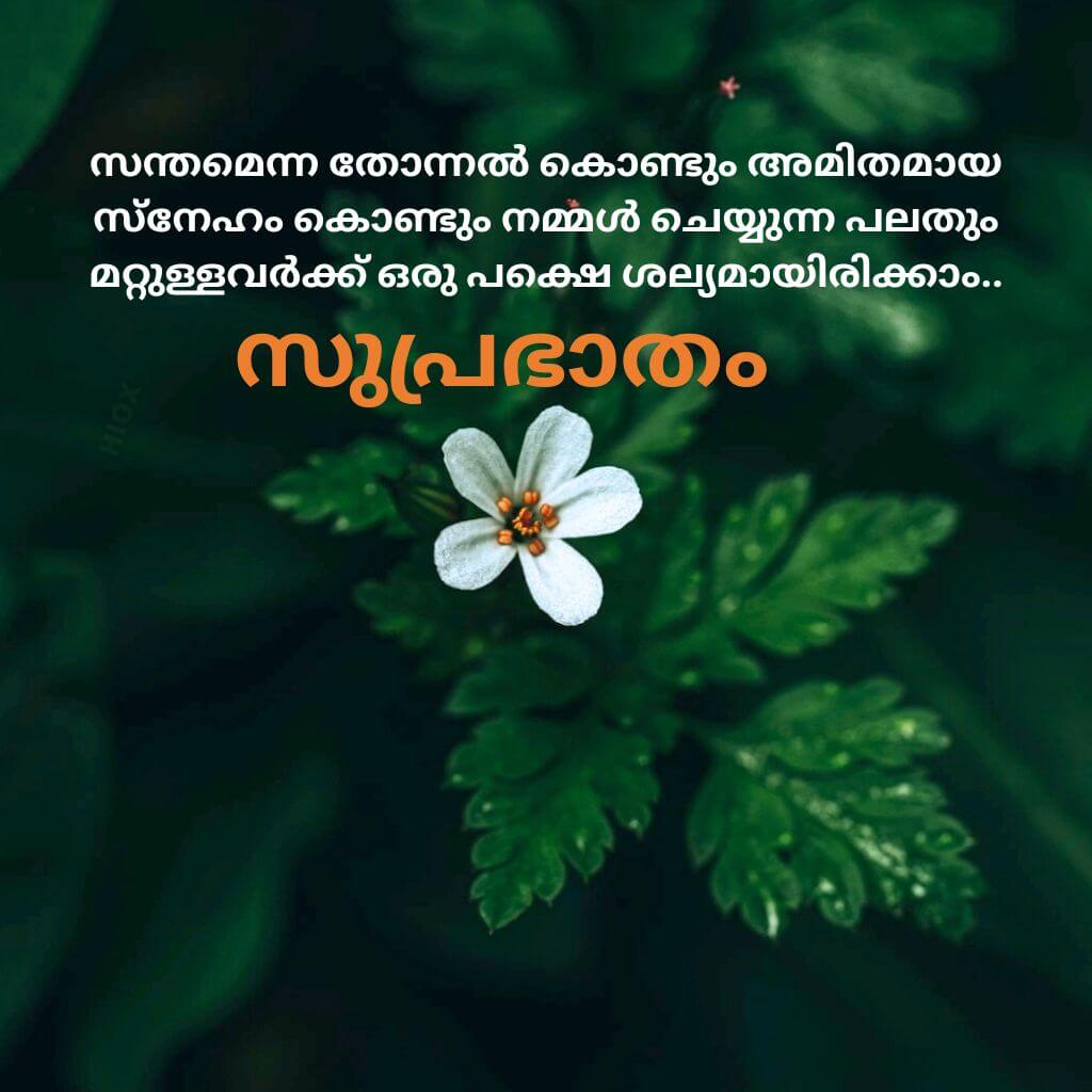 Free HD good morning quotes malayalam Wallpaper Pics New 2023 Download
