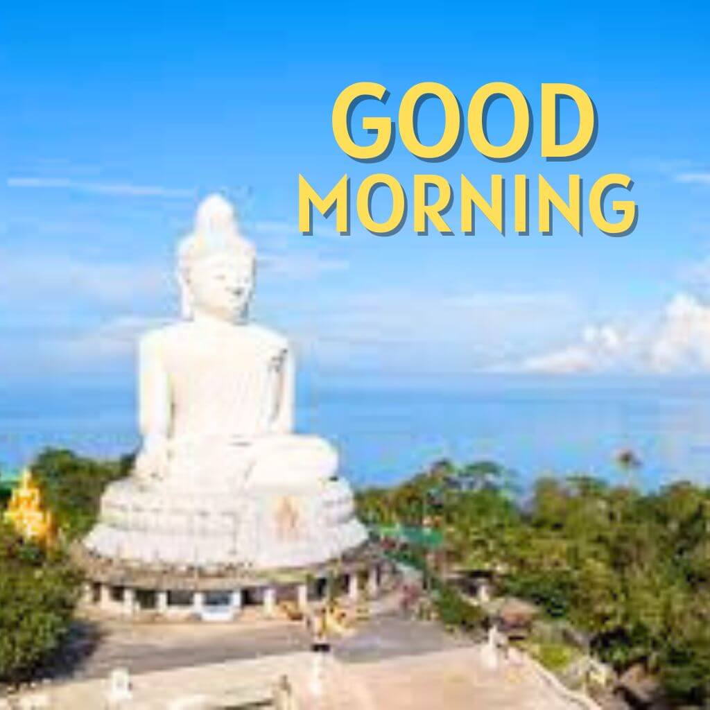 Free buddha good morning Images Pics New Download
