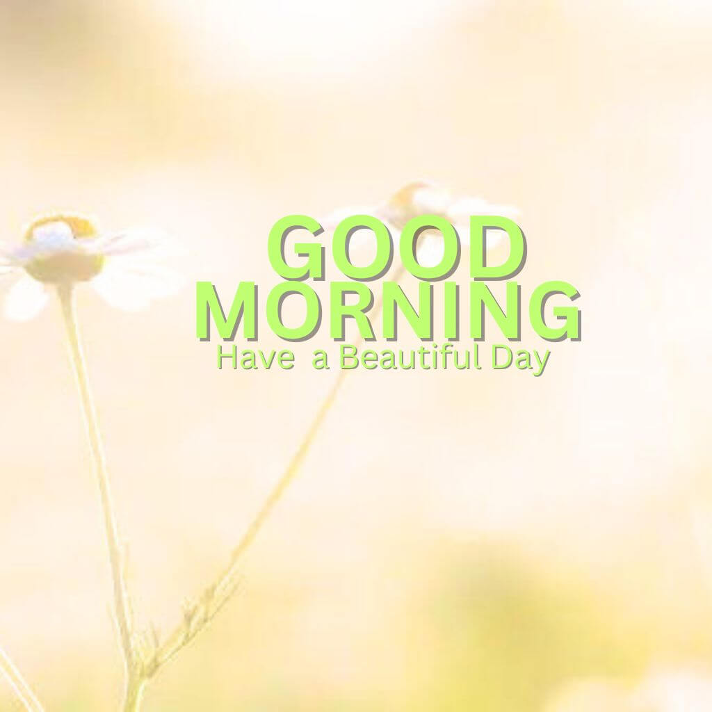 Fresh Good Morning Nature Images Pics New Download