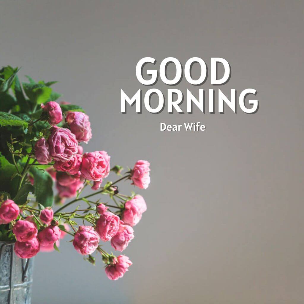 FreshGood Morning Images For Wife Pics Wallpaper Download