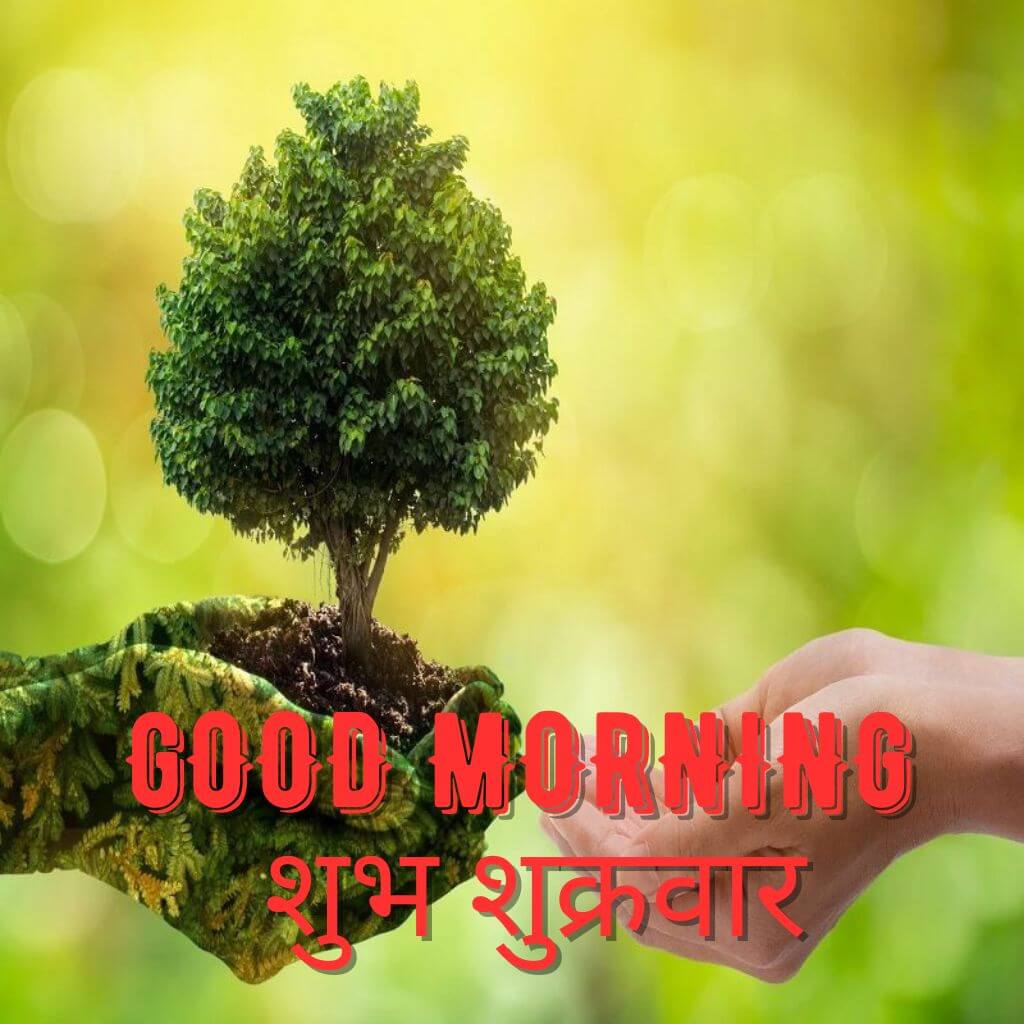 Full Size Subh Sukarwar Good Morning Images Download With Nature 