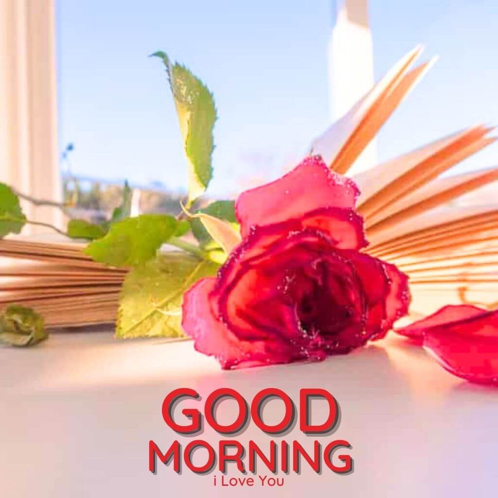 Good Morning I Love You Pics Images for Facebook