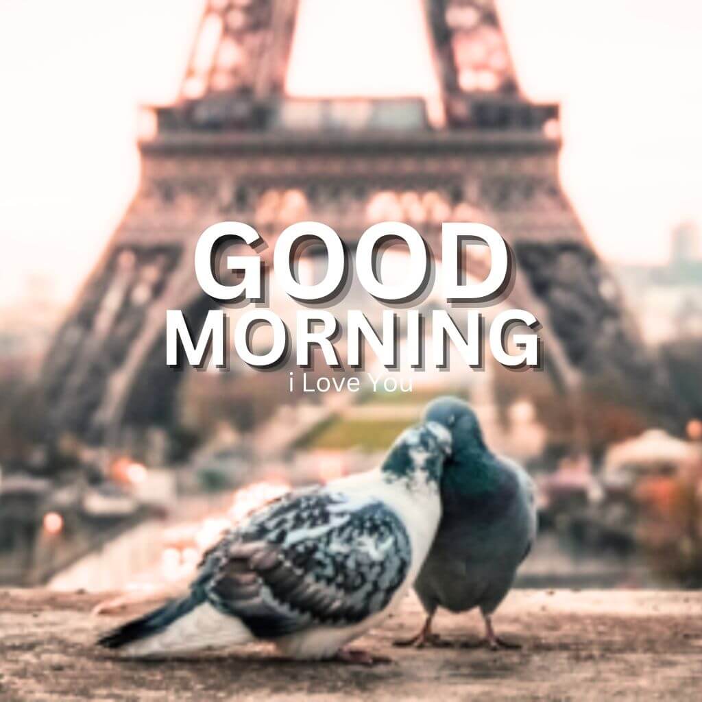 Good Morning I Love You Wallpaper pics Pictures Download