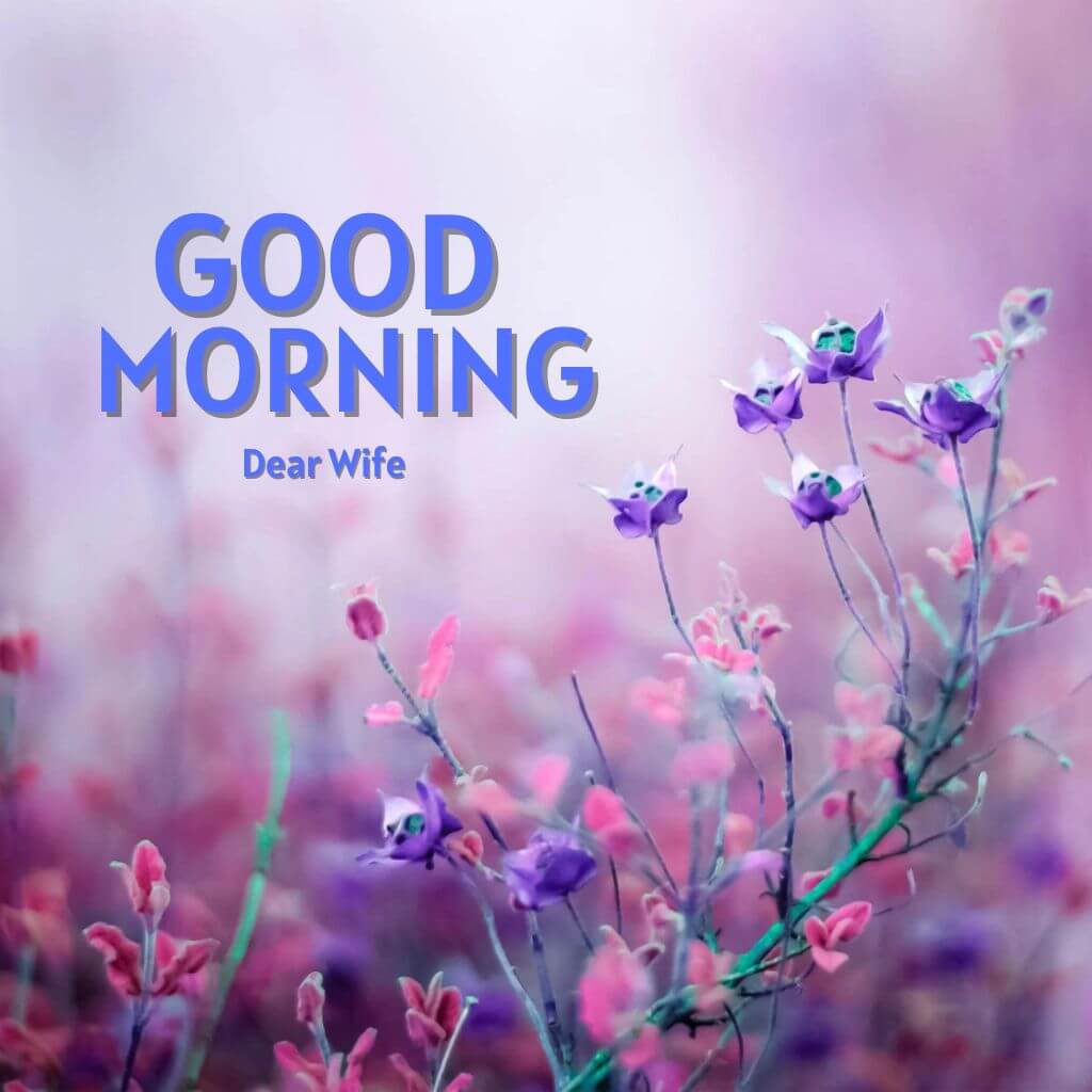 Good Morning Images For Wife Wallpaper pics for Facebook
