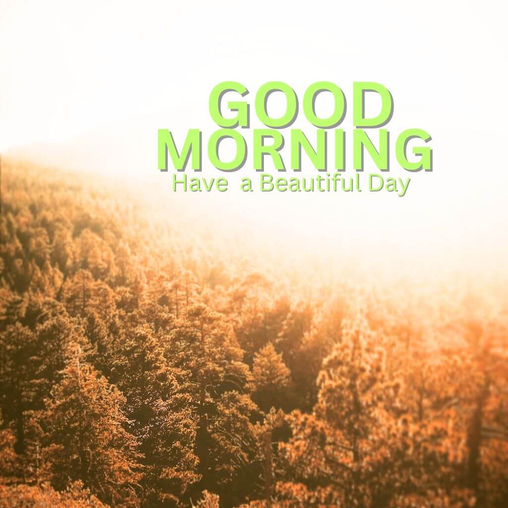 Good Morning Nature Pics New Download