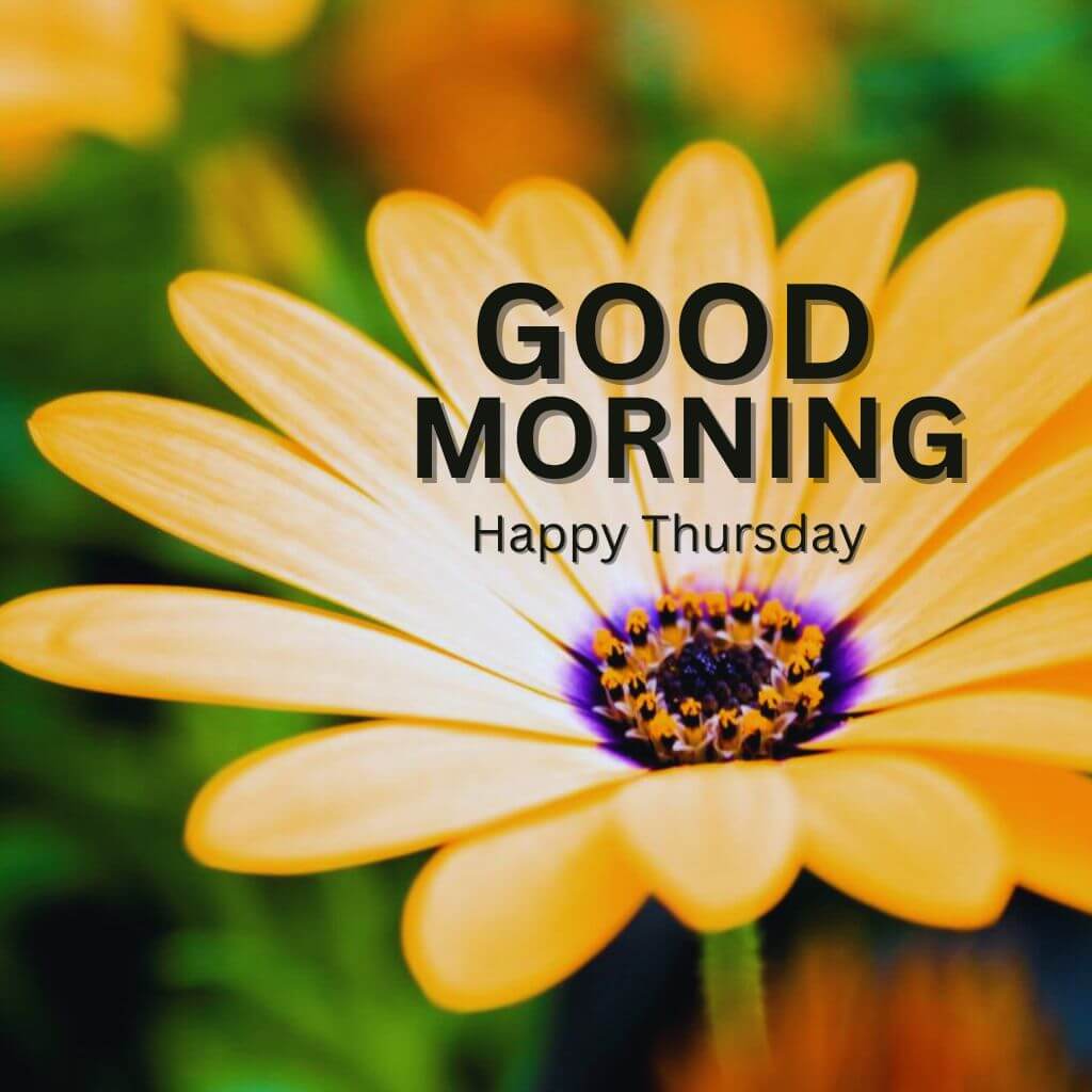 Good Morning Thursday Pics Images Download