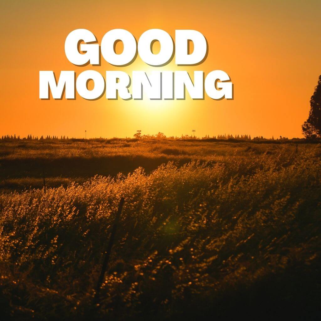 Good Morning Wallpaper Pics New Download for Friend