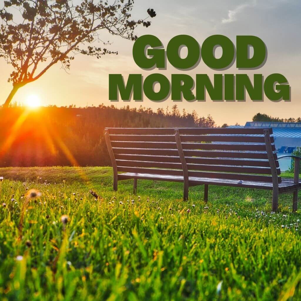 HD Sunrise Good Morning Wallpaper Pics for Whatsapp Facebook