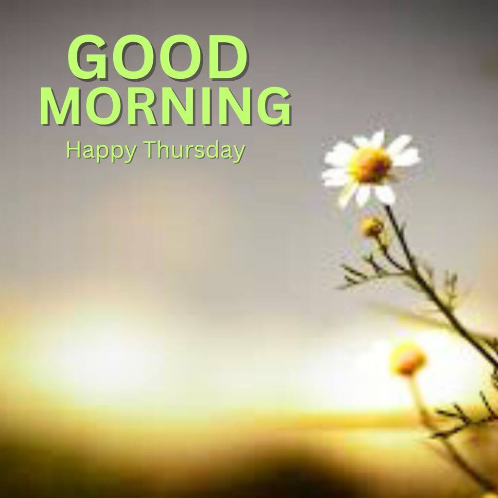 Latest HD Good Morning Thursday Wallpaper free Download