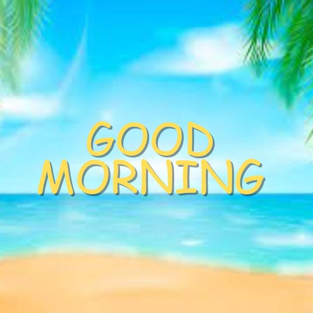 Latest HD good Morning Summer Images Download