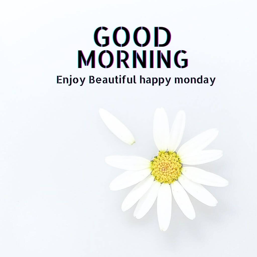 Monday Good Morning Pics Images New Download