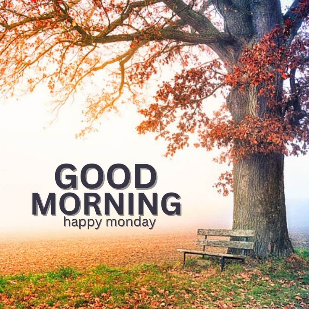 Monday Good Morning Wallpaper Pics New Download for Facebook
