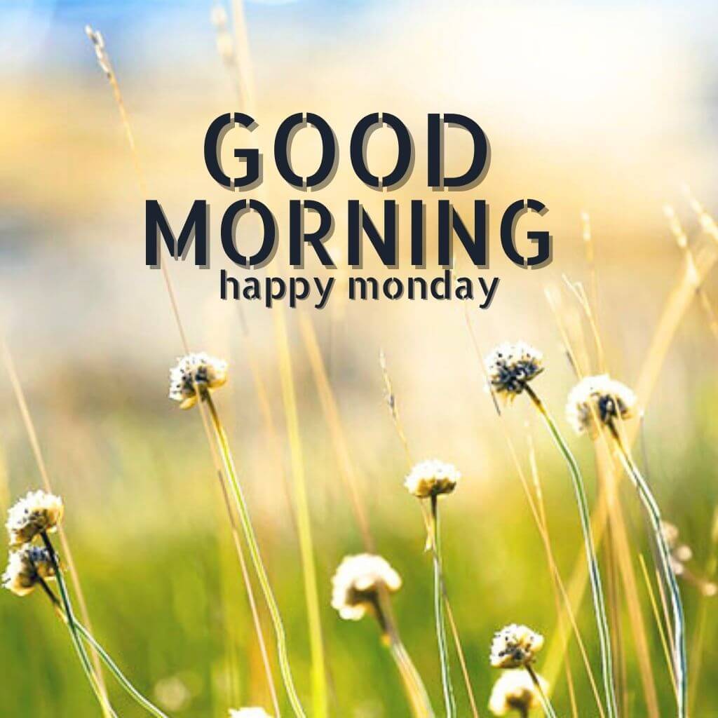 Monday Good Morning Wallpaper pics HD Download