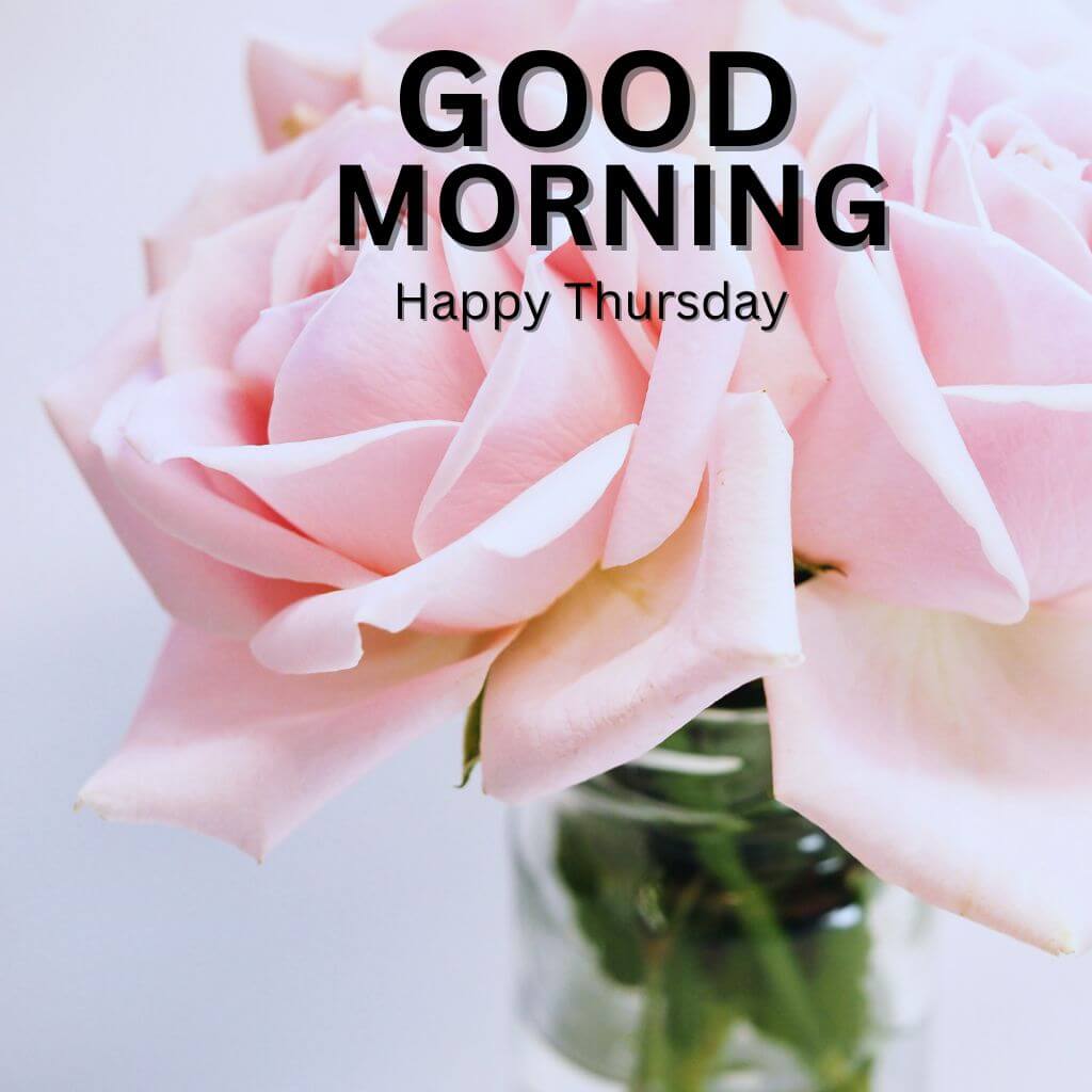 New HD Good Morning Thursday Images for Facebook