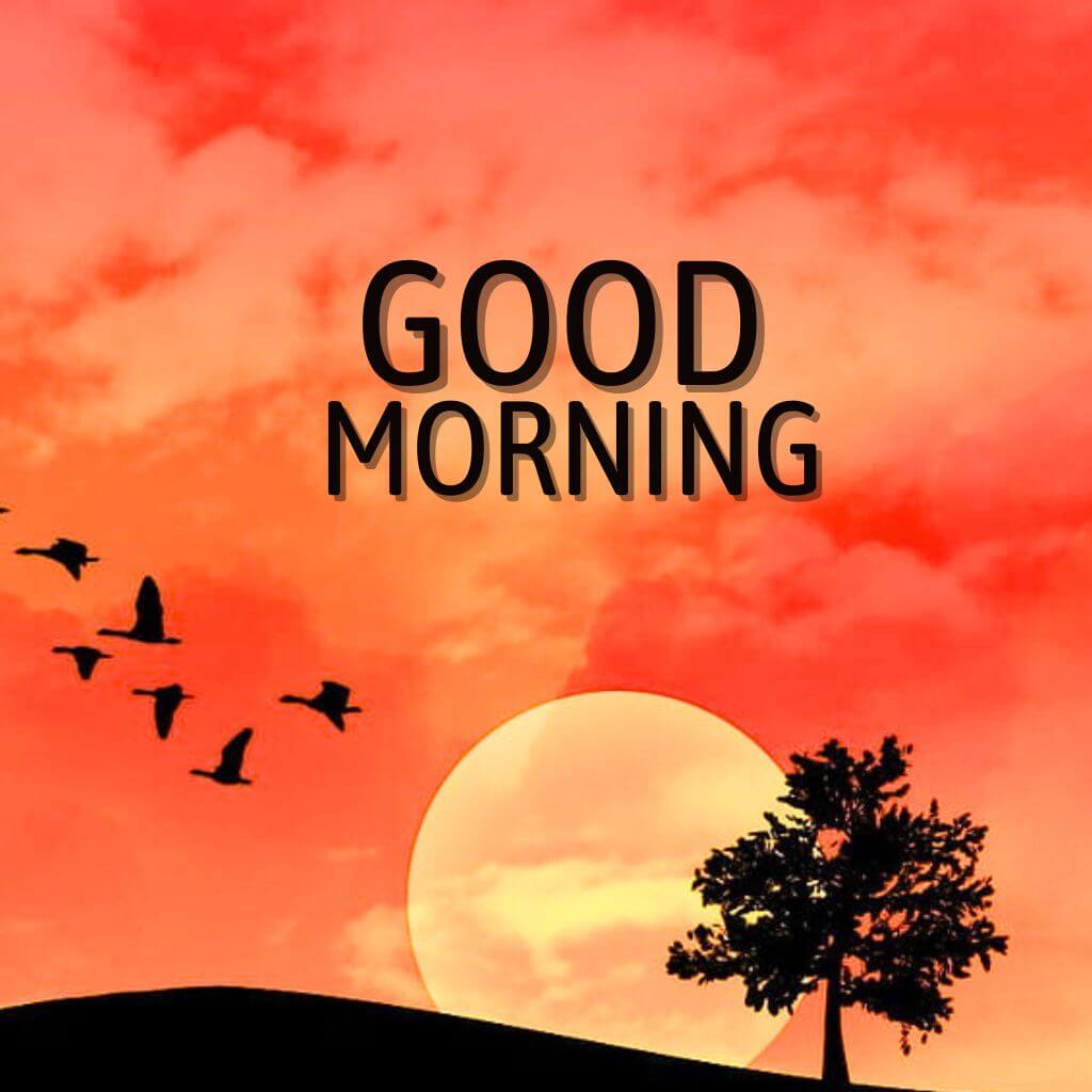 New HD amazing good morning Wallpaper Pics Images New Download
