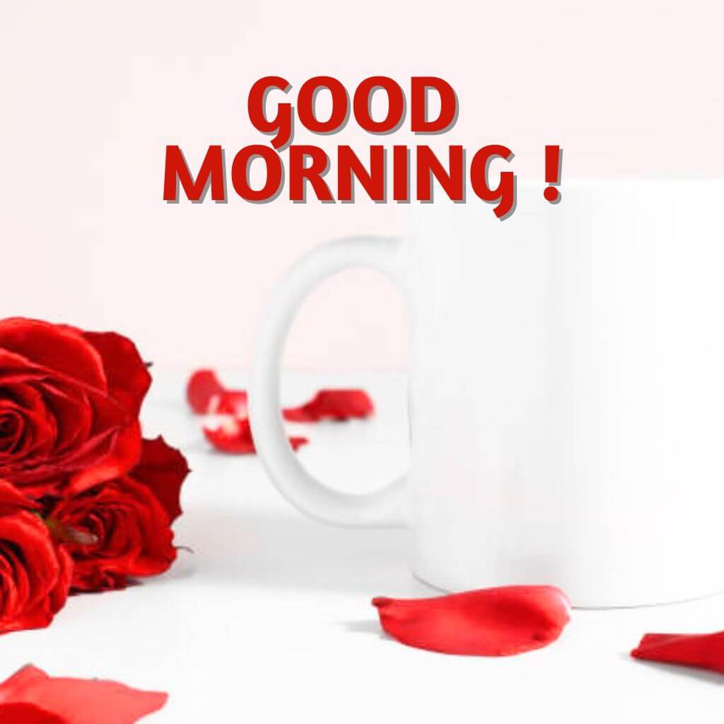 New HD good morning coffee and rose Images Download Free