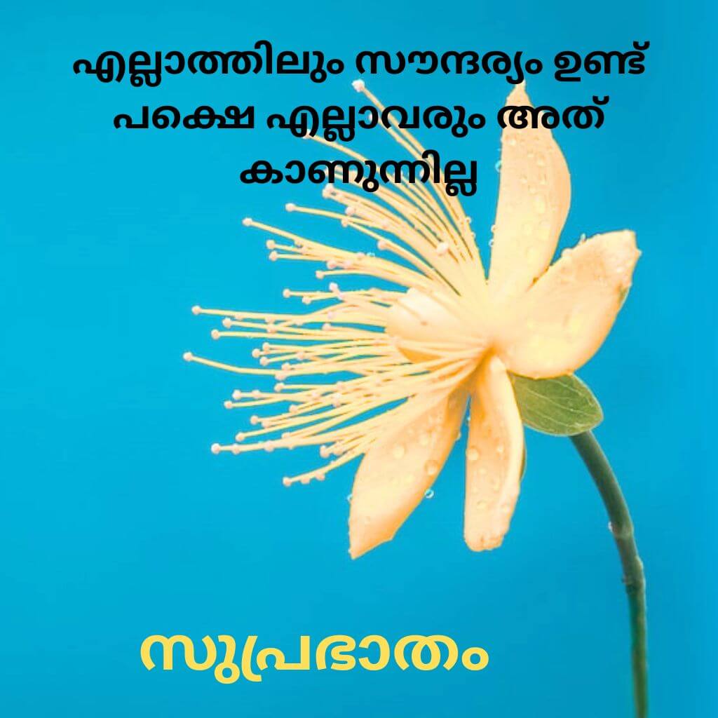 New HD good morning quotes malayalam Wallpaper