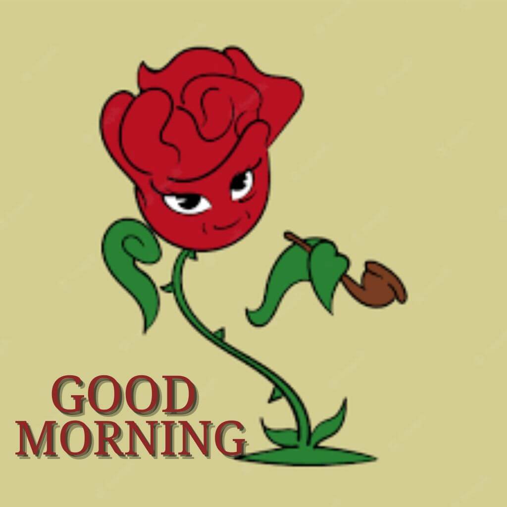 Rose funny good morning Images Wallpaper Pictures for Girlfriend