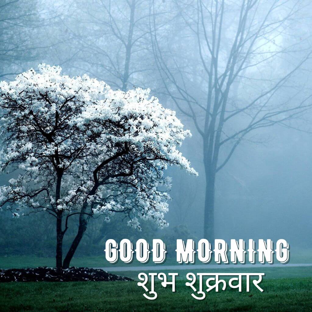 Subh Sukarwar Good Morning Photo Free 2023