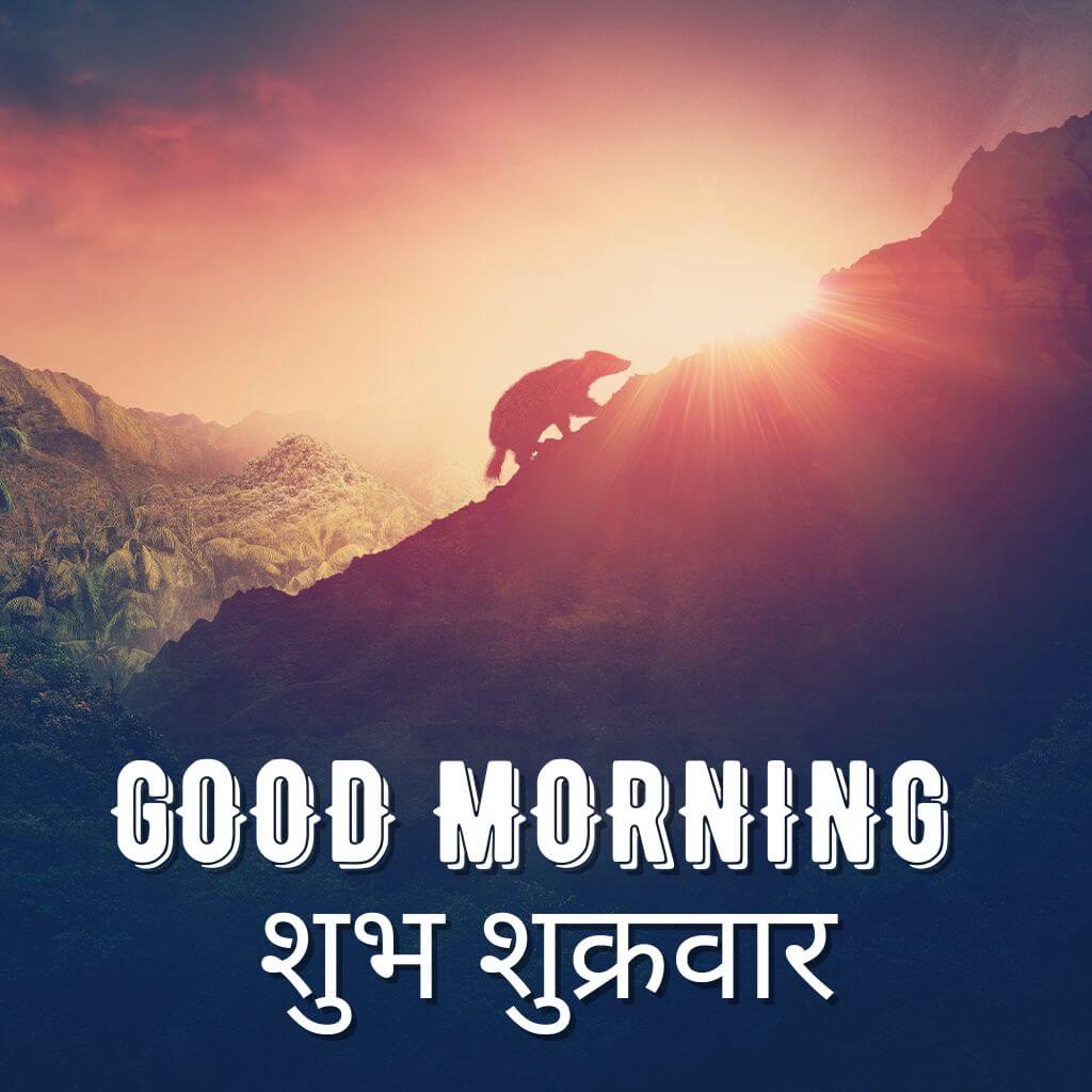 Subh Sukarwar Good Morning Photo New Download