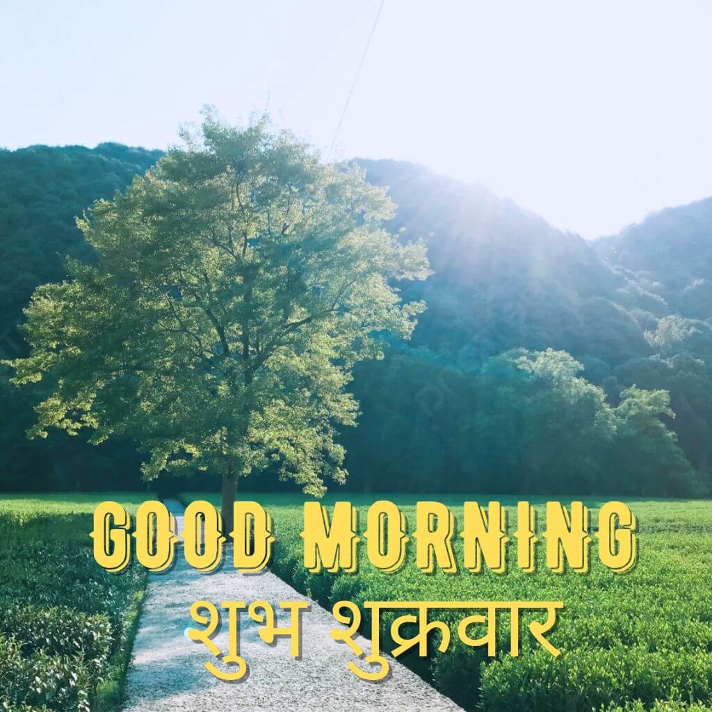 Subh Sukarwar Good Morning Pics images With Nature