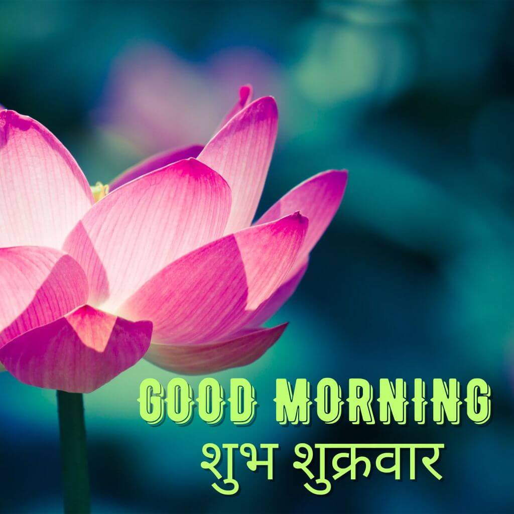 Subh Sukarwar Good Morning Wallpaper Pics Free Download (2)