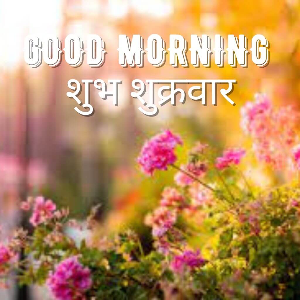 Subh Sukarwar Good Morning Wallpaper Pics With Flower