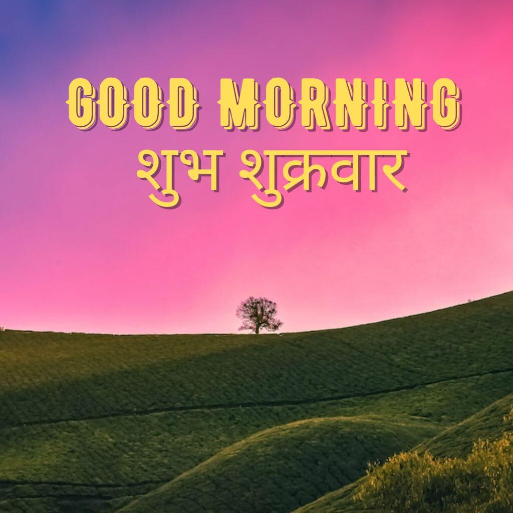 Subh Sukarwar Good Morning Wallpaper pics Free 2023