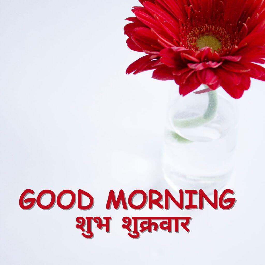 Subh Sukarwar Good Morning Wallpaper