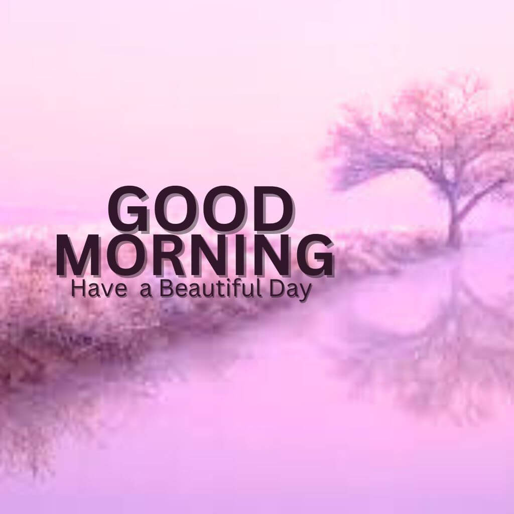 The New Good Morning Nature Pics Wallpaper for Facebook