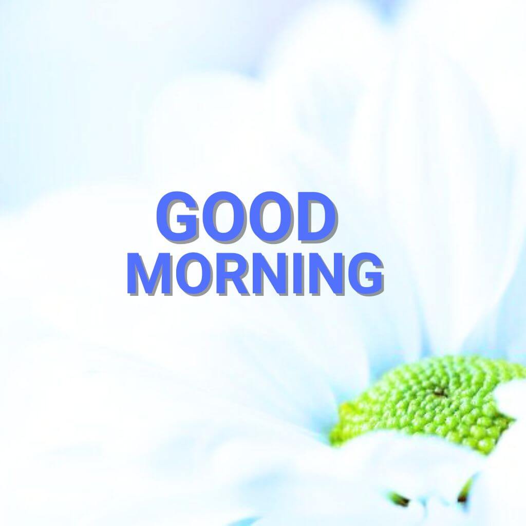 Top HD 3d Good Morning Images Download (2)
