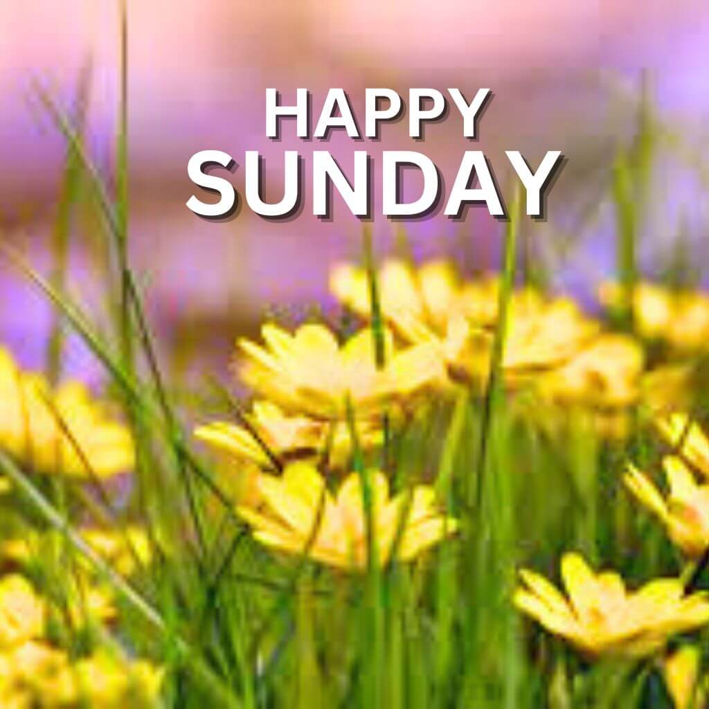 Top HD Blessed Sunday Images Download