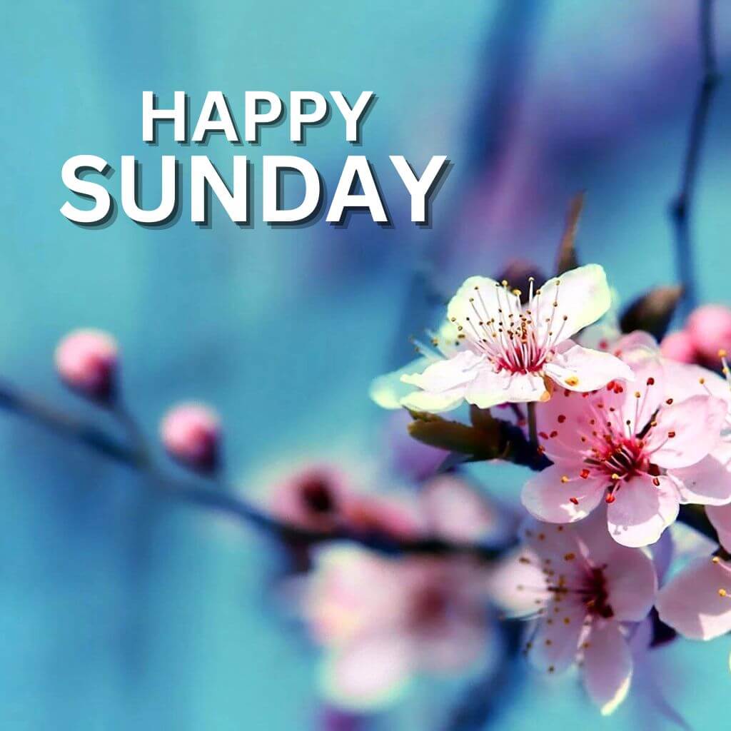 Top HD Blessed Sunday Images Pics New Download