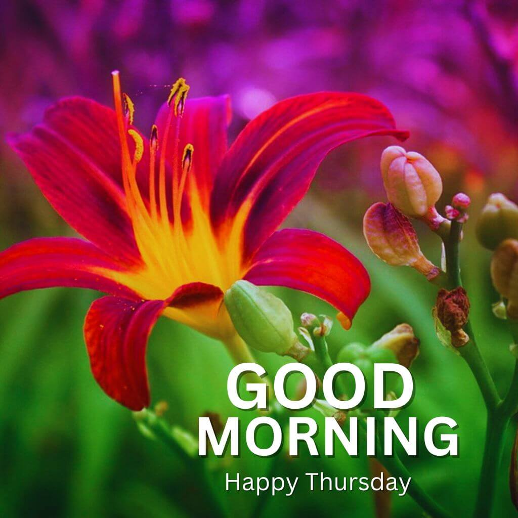 Top HD Good Morning Thursday Images Download