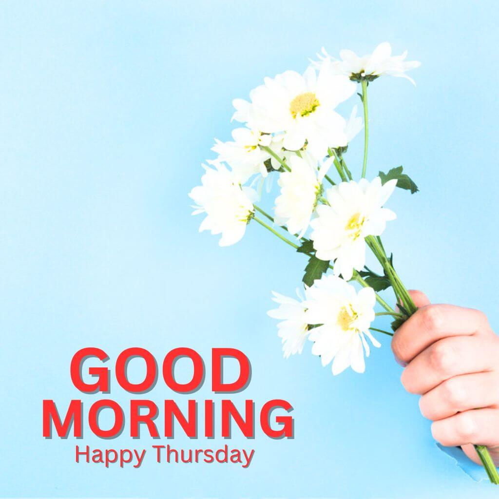 Top HD Good Morning Thursday Images Pics Wallpaper free Download