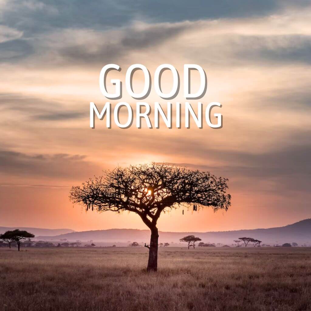 amazing good morning Pics Images Wallpaper Free HD Download