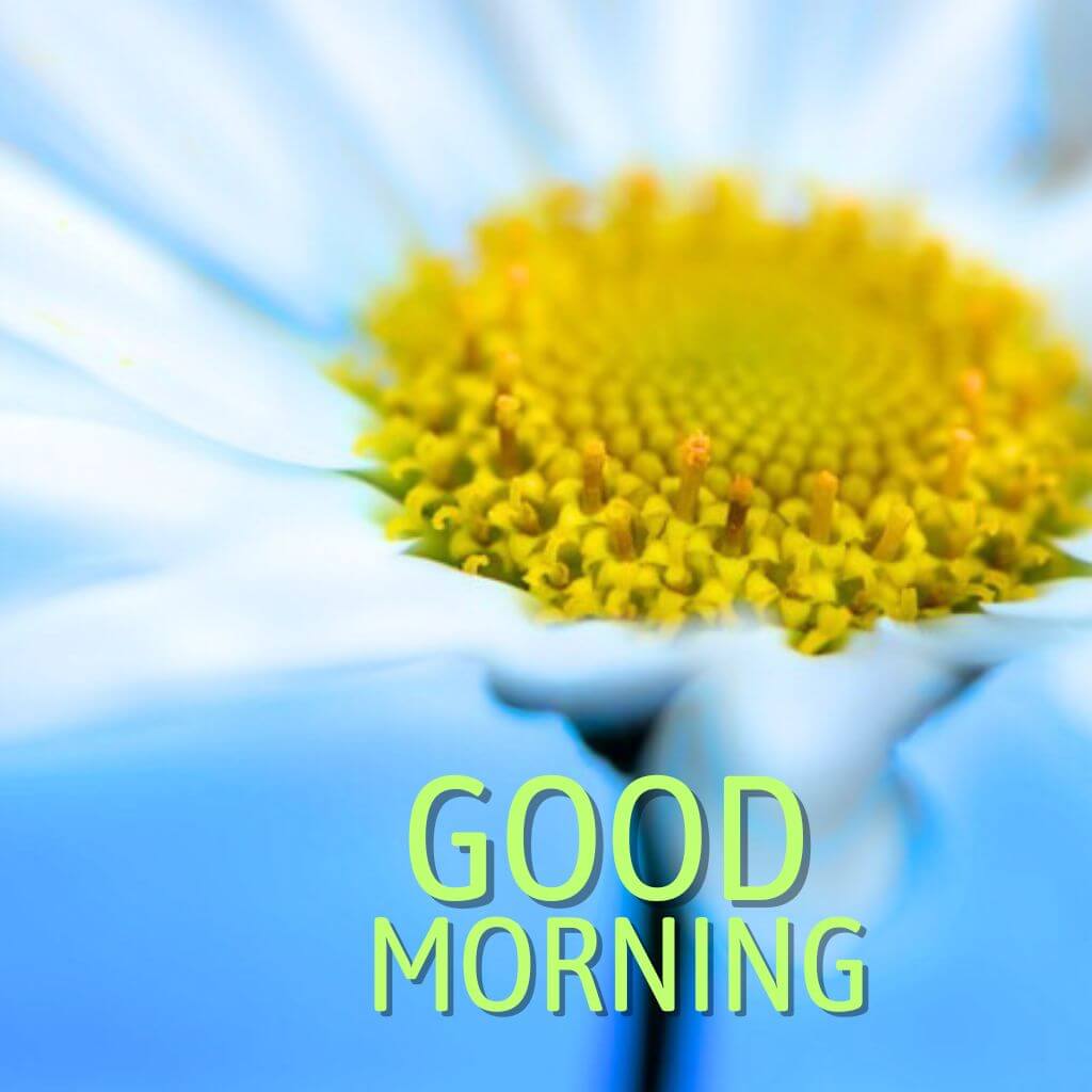 amazing good morning Pics Wallpaper Images for Friend Download New 