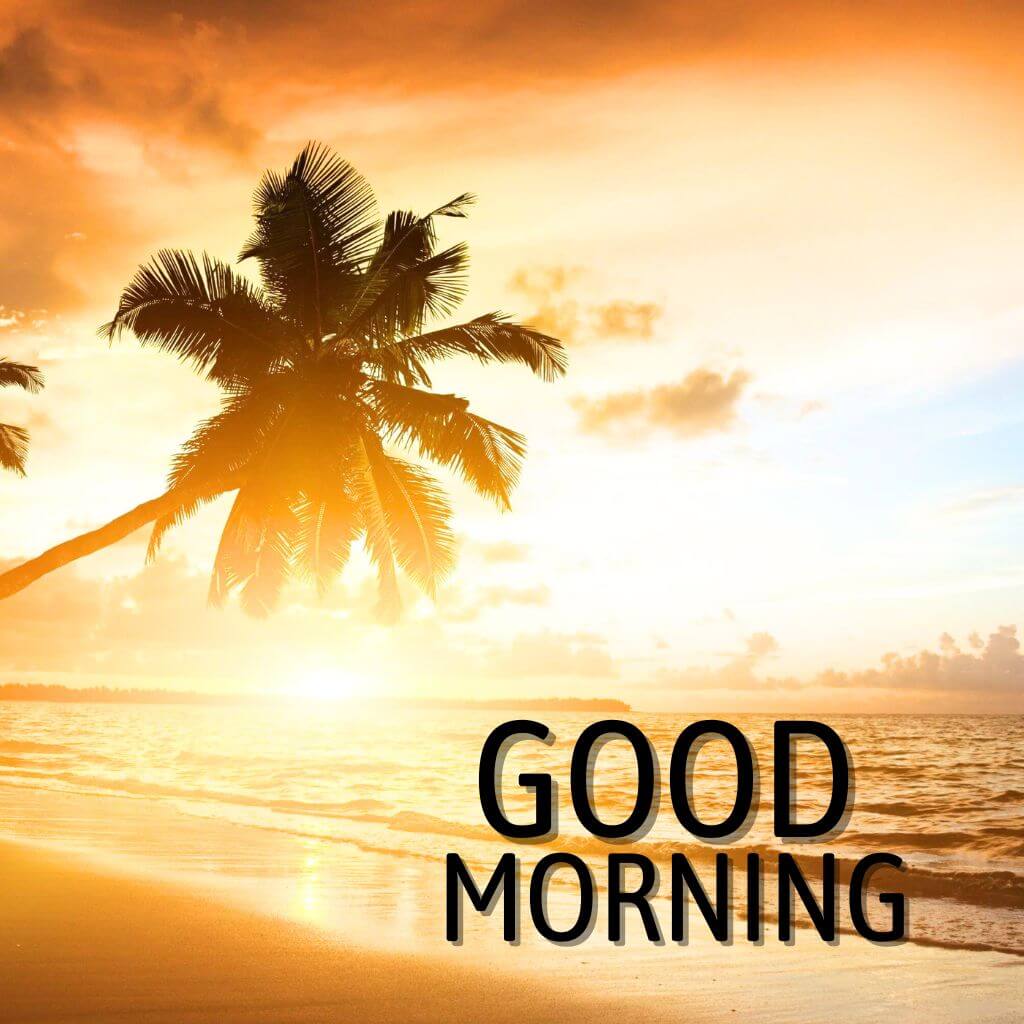 amazing good morning Wallpaper Pics Images New Download Free 202