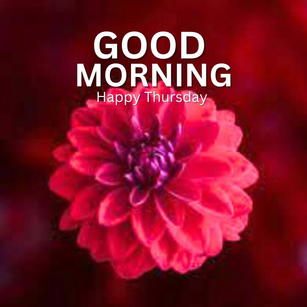 free HD Full Size Good Morning Thursday Images Download